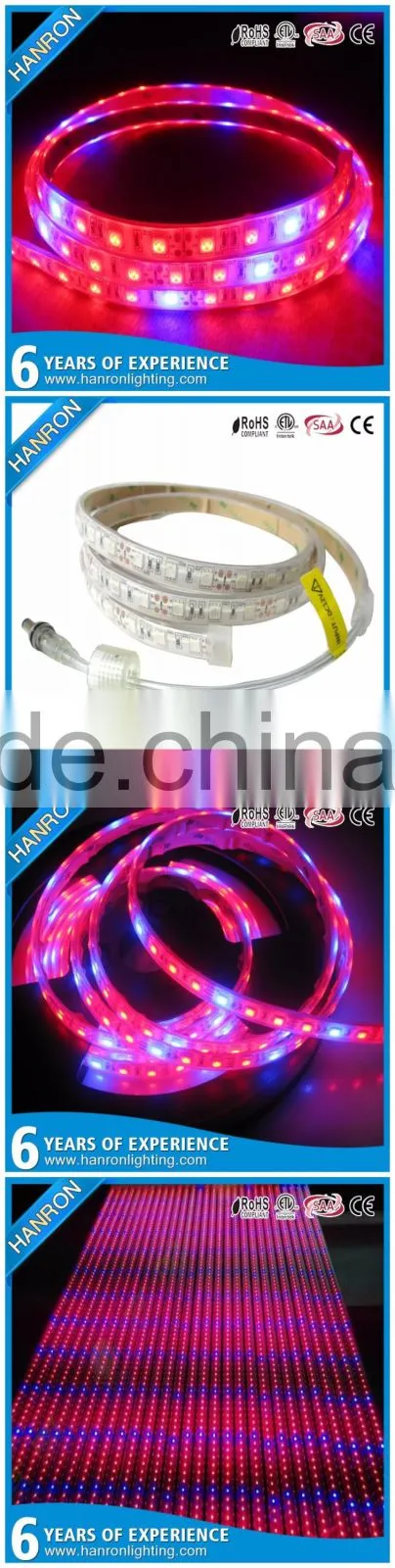 Shenzhen Factory Growing Lights LED 3w LED Grow Light for Growing