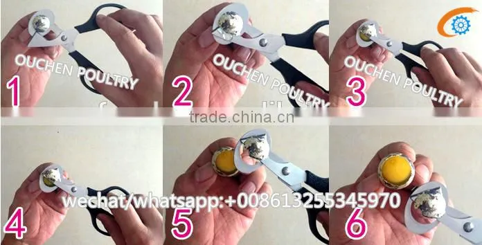 OUCHEN wholesale PVC clear plastic deviled egg carrier quail egg cartons 12 18 20 24 30 holes for sale