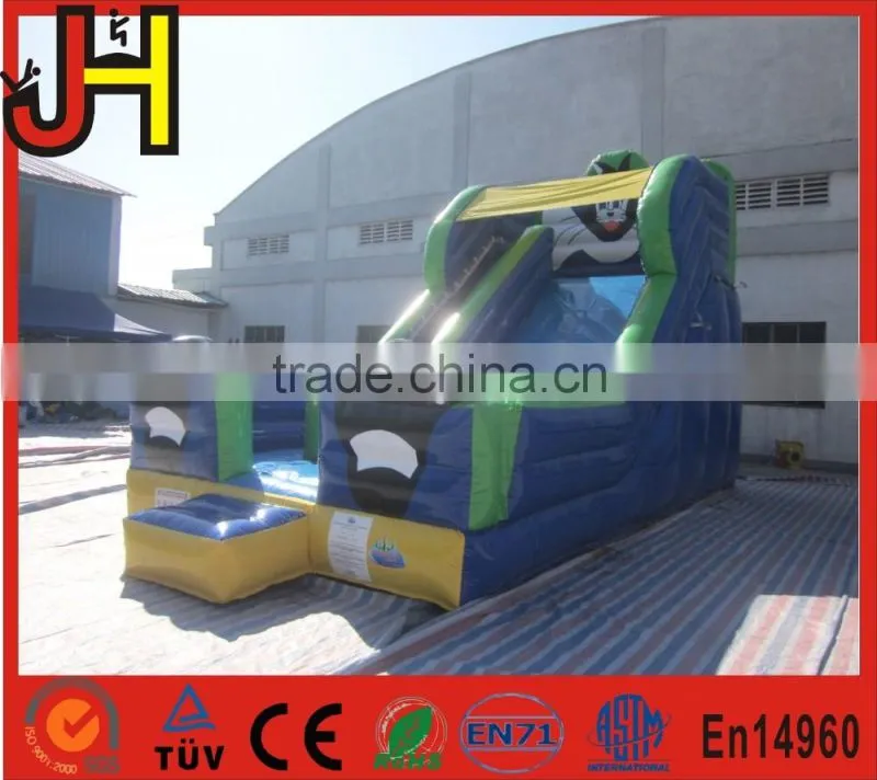 Blue Cat Outdoor Water Slide Inflatable Garden Water Slides For Parties