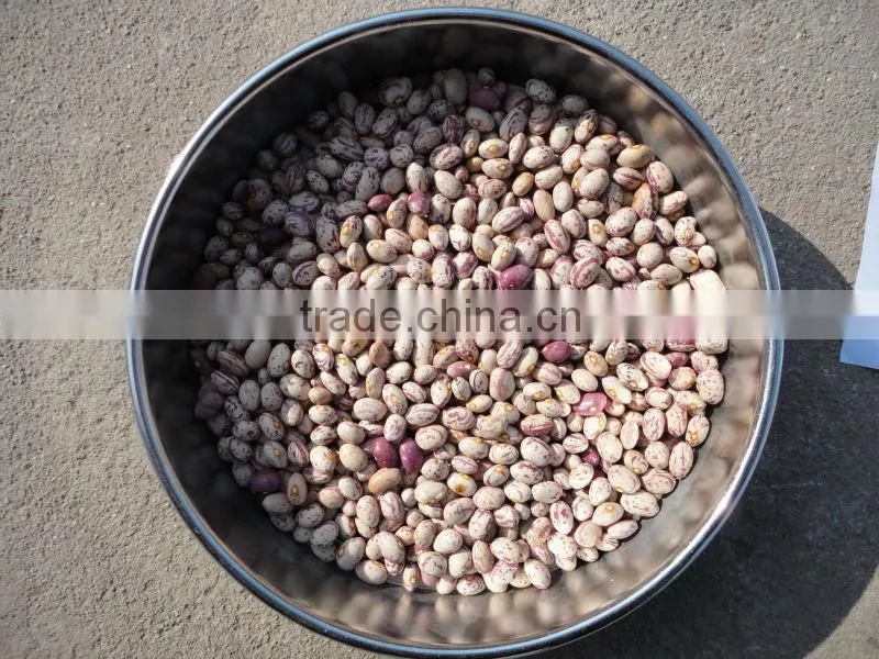 chinese Beans 2014 new crop;