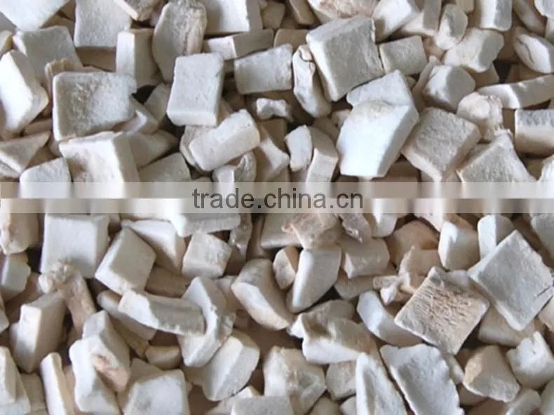 Freeze Dried Mushroom