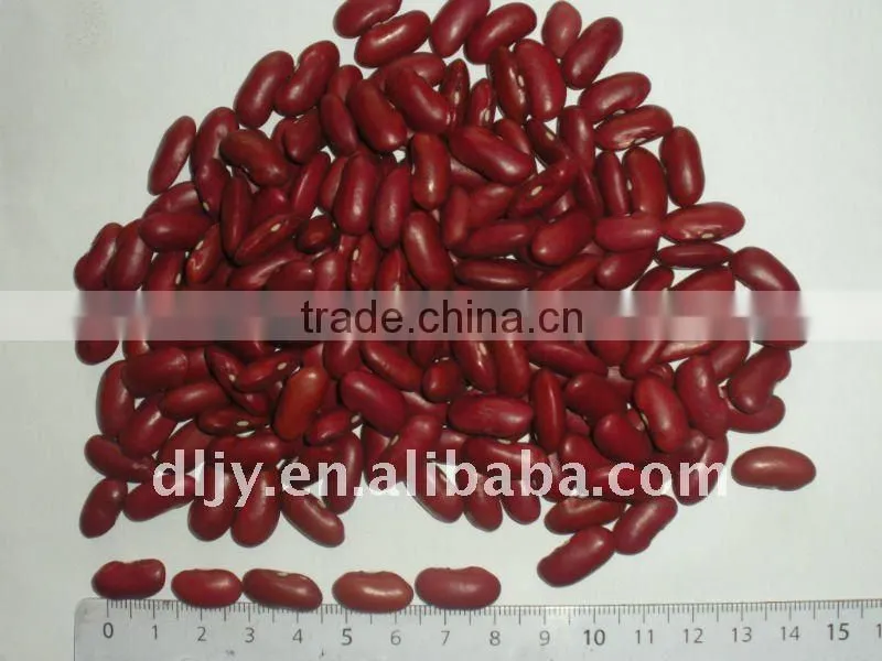 Dark Red Kidney Beans