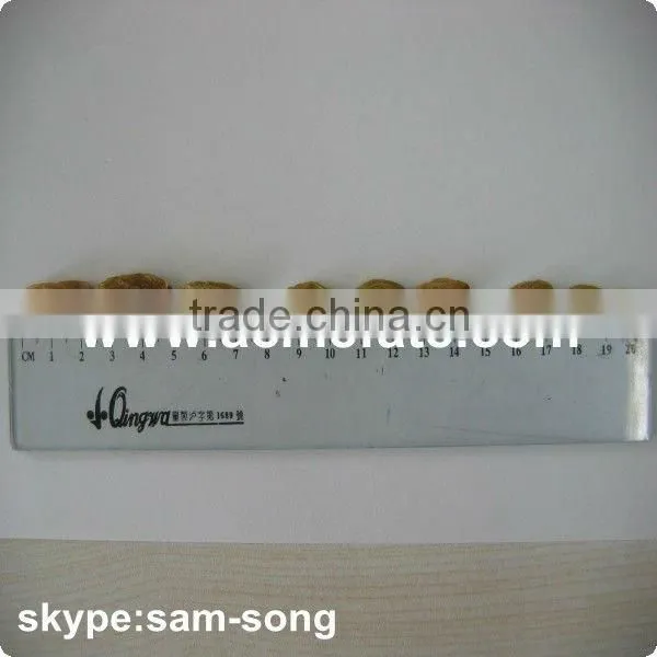 Big Size Sweet Green Raisin Hot Sale