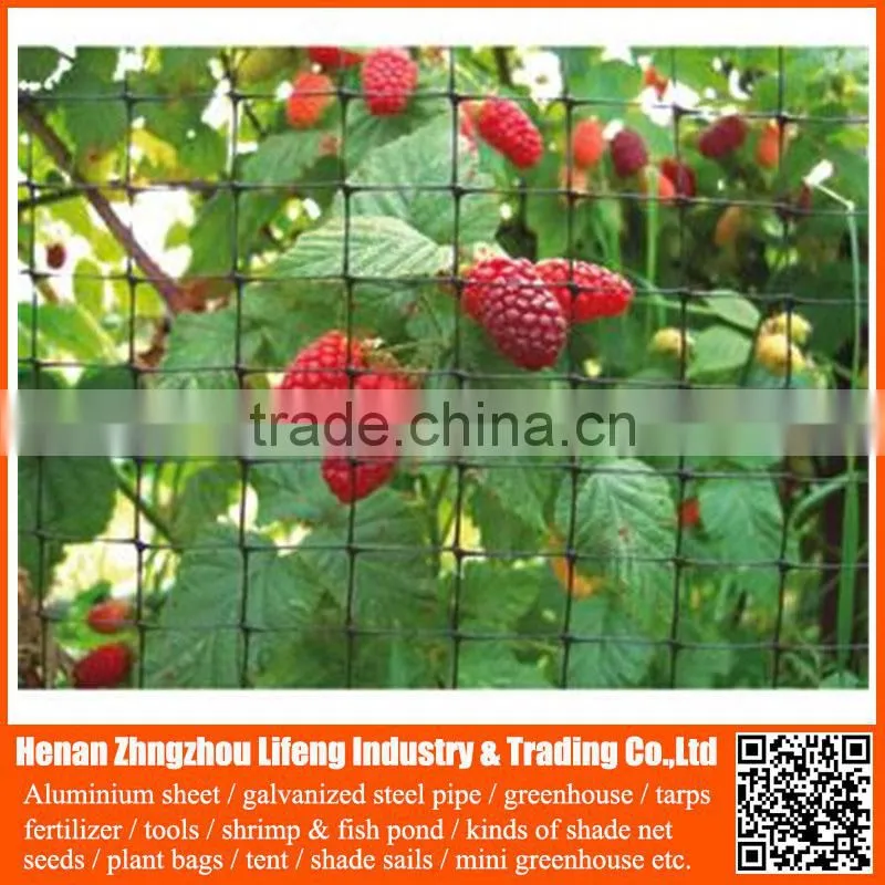 New arrival orchard grape HDPE anti bird netting , pe plastic knotted mesh bird netting