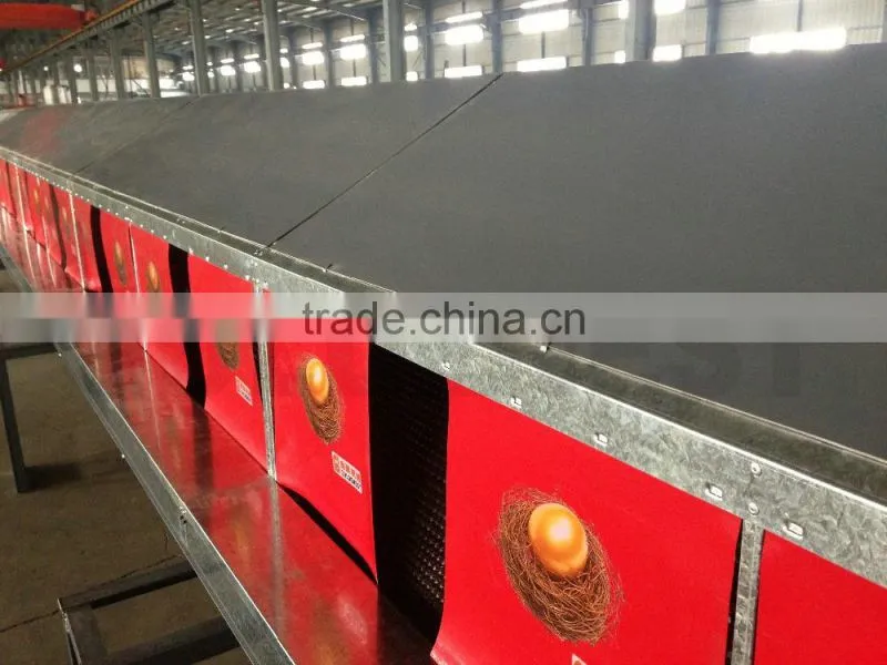 Automatic nest system/auto nest system/Poultry equipment/egg picking system/chicken nest/Manual egg collection box