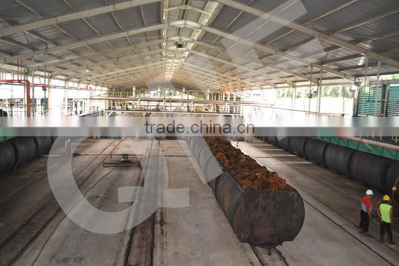 Hot in indonesia! Palm kneral oil refining plant/crude palm oil refining equipment