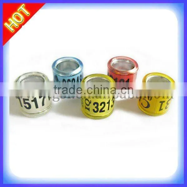 cheaper rings for pigeon,good quality pigeon rings