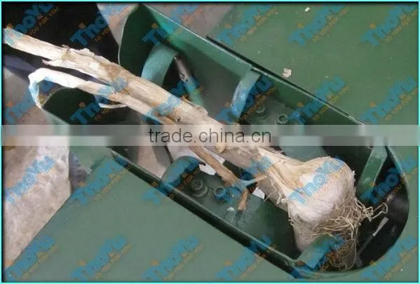 Automatic fresh garlic stem and root cutting machine(0086-15903675071)