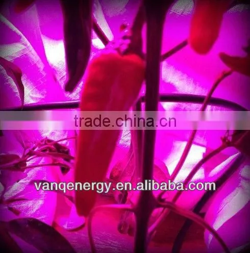 King led grow light,120w high power lef light ,growing led light