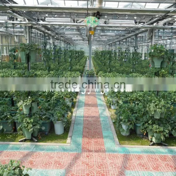 New energy base of agriculture