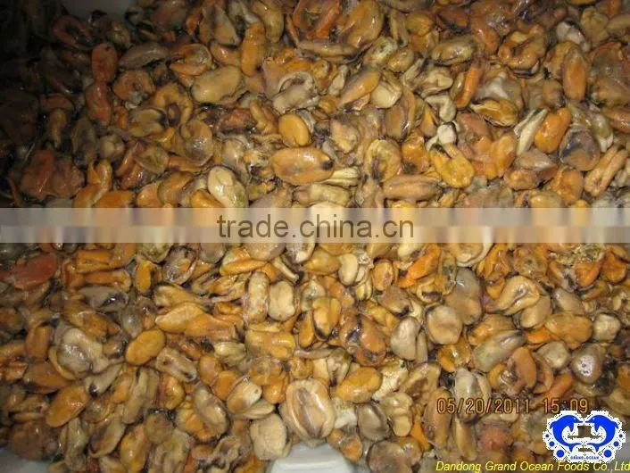 blue mussel meat IQF seafood