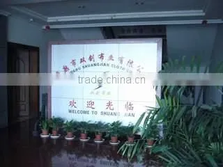 Changshu Shuangjian Cloth Co., Ltd. company overview - view 2