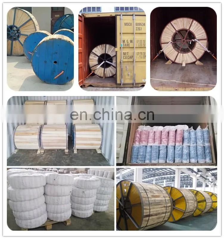 Electro/Hot Dipped galvanized welded iron wire mesh Factory