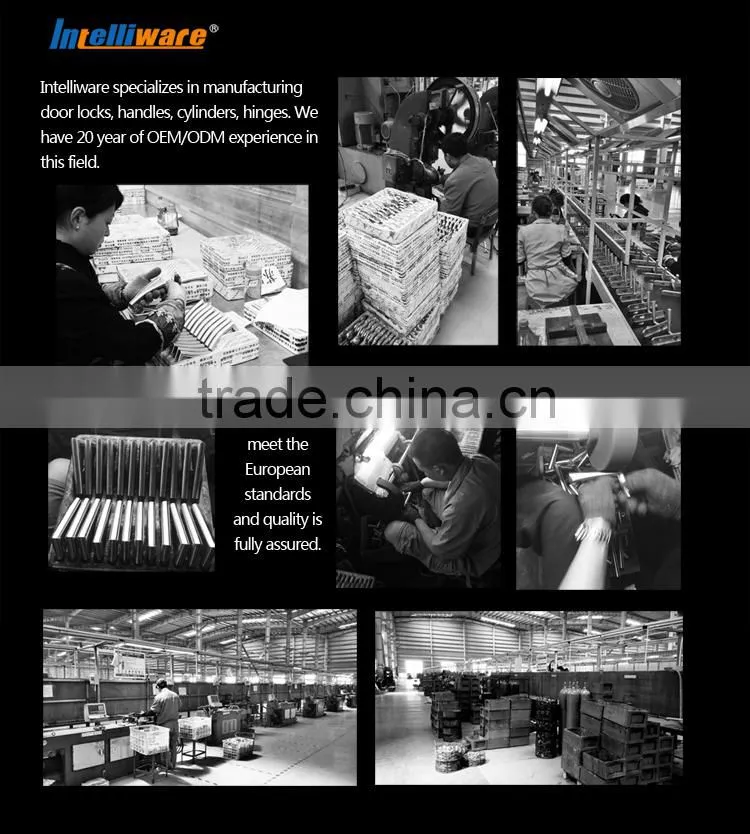 Stainless Steel Door Hardware Handl
