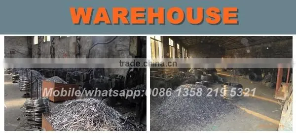common wire nails supplier from China special for yemen market