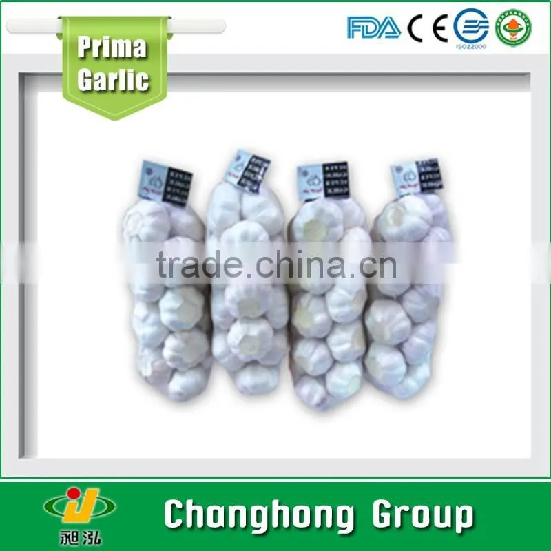 hot sale mesh bag packing 5.0cm garlic