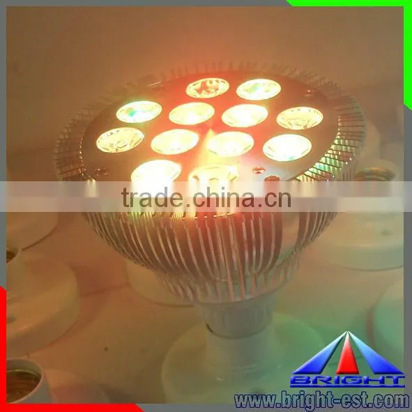 12W LED Par38 Light with RGB Controller