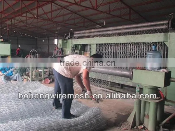 HIGH QUALITY POULTRY HEXAGONAL WIRE MESH