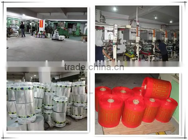 Nylon & PE Back Center Heat Sealed Vacuum Bag With Euro Slot