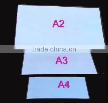 EL backlight with different sizes and colors