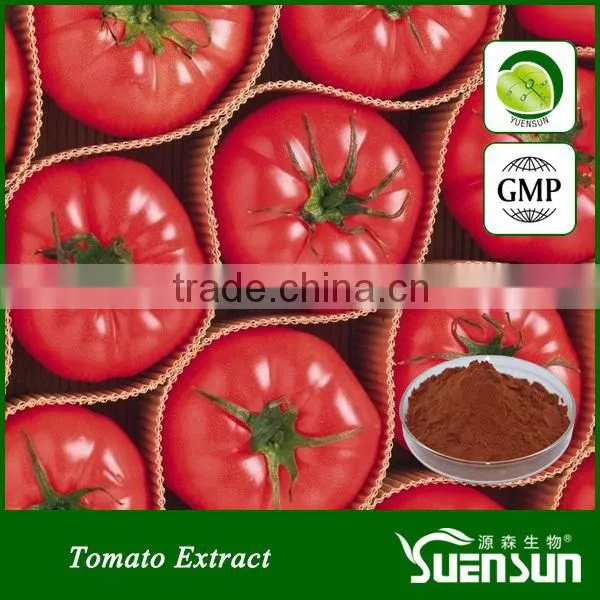 GMO free tomato extract powder with pure lycopene powder
