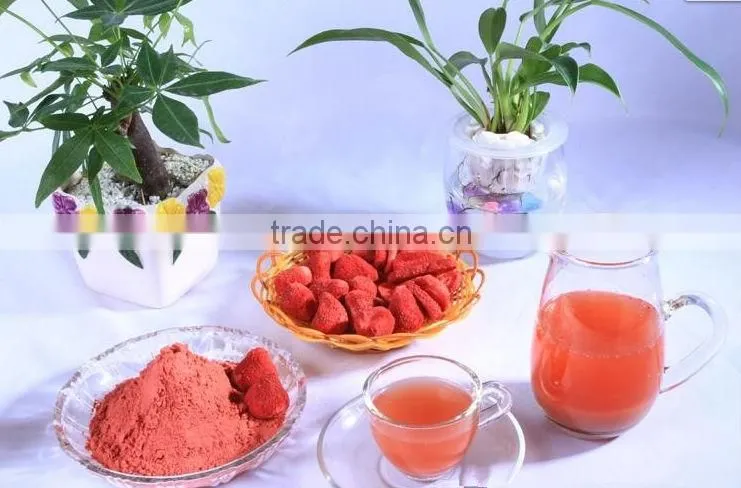 Freeze dried Instant fruit drink powder freeze dried organic Fruit powder