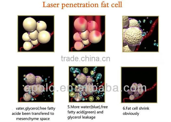 laser diode 650nm laser diode 100mw HS 700 by shanghai med apolo medical technology