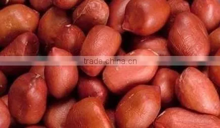 BEST QUALITY PURE FRESH RED PEANUT