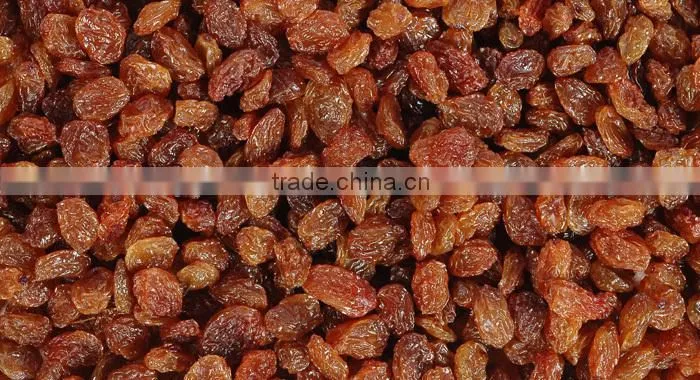 BEST RATE QUALITY INDUSTRIAL RAISIN FOR BEST RATE