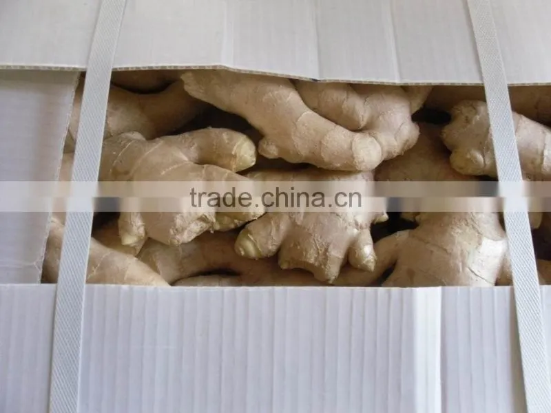 Fresh air dried Ginger
