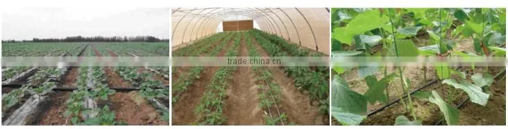 drip irrigation tape inner inlaid flat drip irrigation drip tape