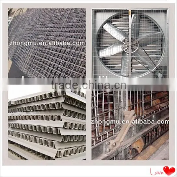 fully automatic chicken cage equipment for poultry farming