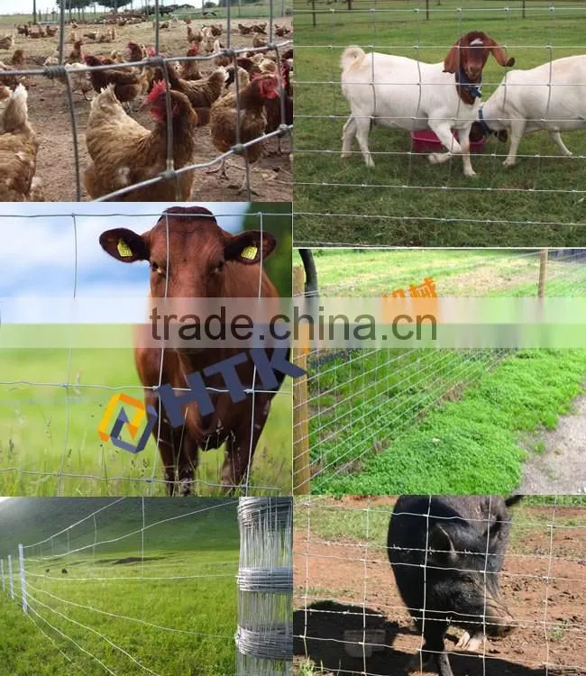Hinge Joint Prairie Field Fence/Protect Grass Wire Mesh Fence