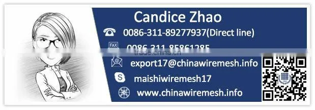 Hebei Factory Galvanized Chicken Wire