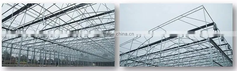 Low Cost 100,150,200 micron Tunnel Multi Span Plastic Film Agricultural Commercial Greenhouse