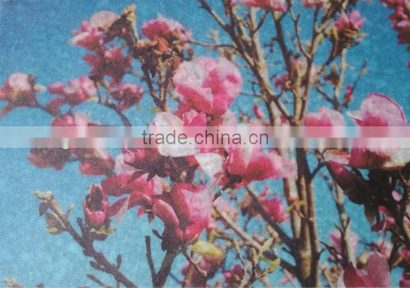 EVA custom decorative film for wholesale