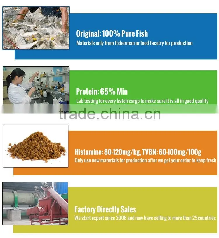 Competitive Fish Meal Price For 50 to 65 Protein