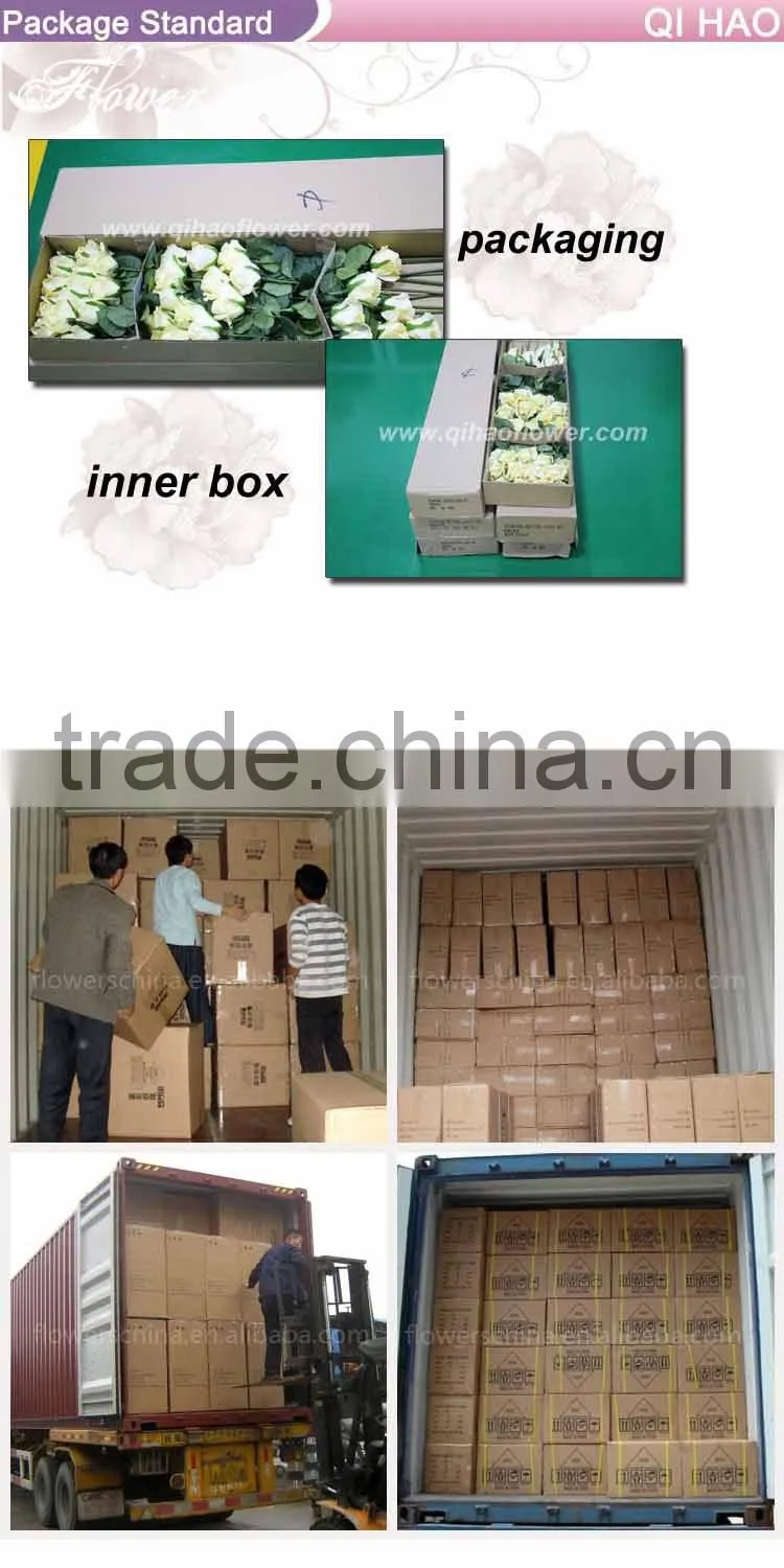 Realtouch orchid artificial flower arragements with flowers pots