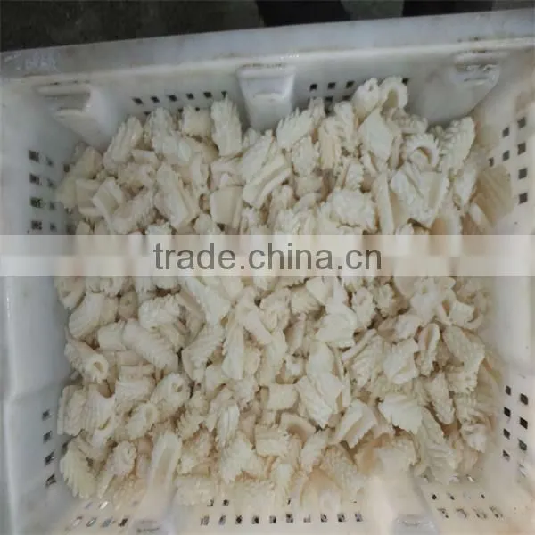 best season and high quality frozen cooked giant squid cutting