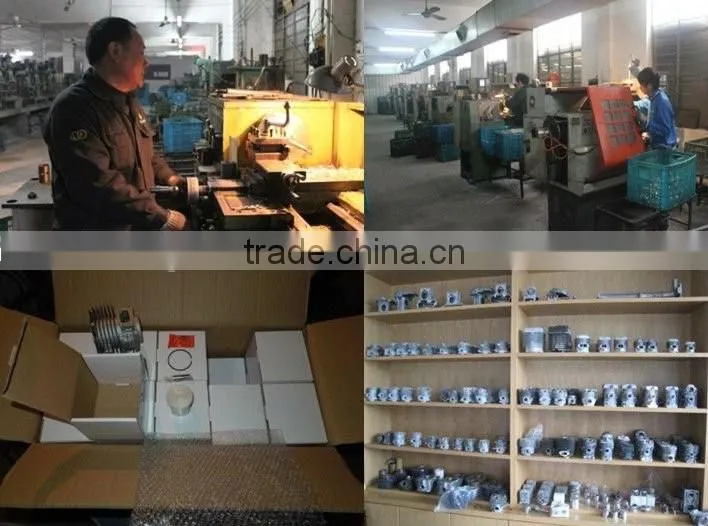 48mm Cylinder&Piston Aluminium Spare parts for Chain Saw
