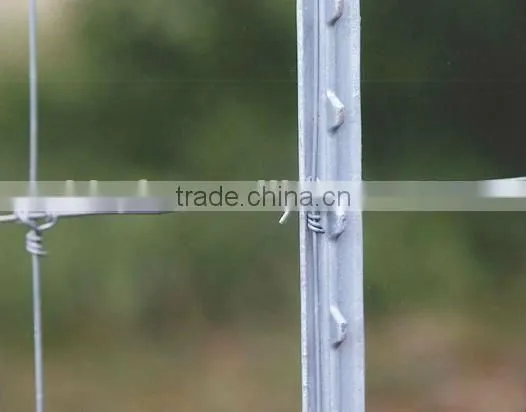 Steel Fence Post-T Style on hot sale china supplier on sale