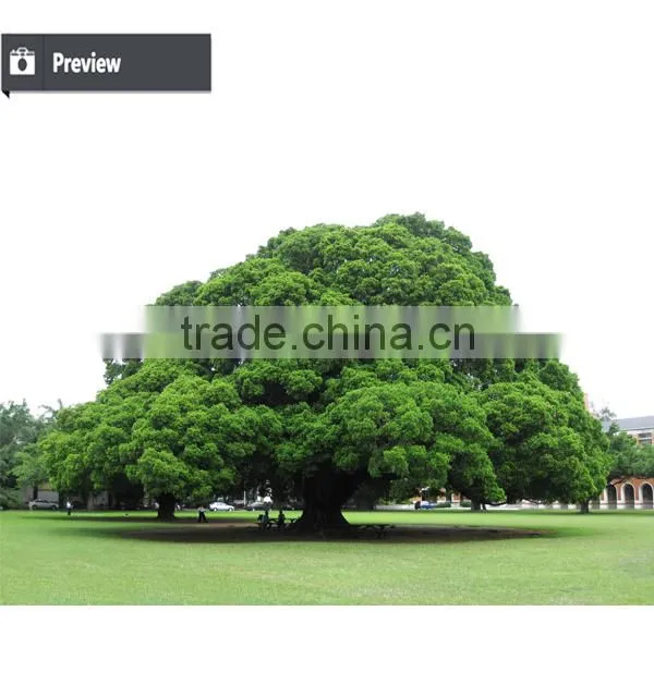 Decorative artificial banyan tree for sound wishing tree