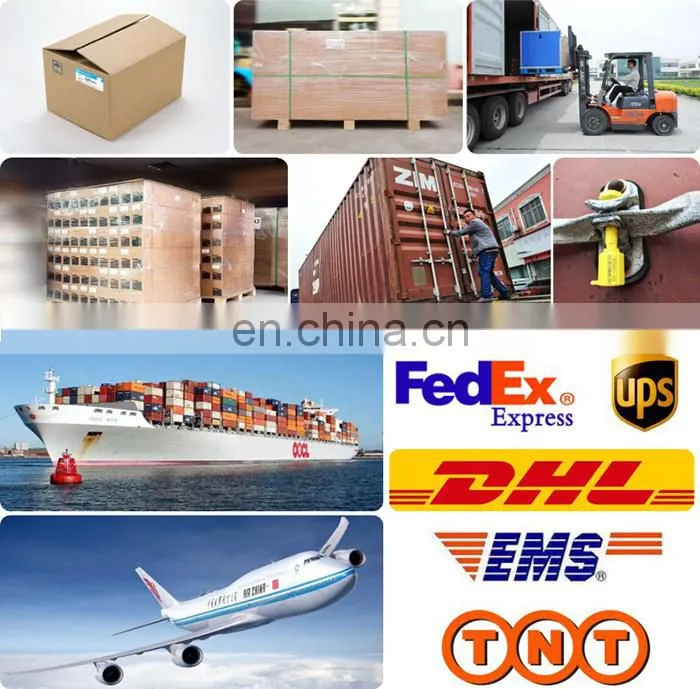 Have Duty Truck V-ribbed Belt 01182428 for Diesel Engine TCD2012