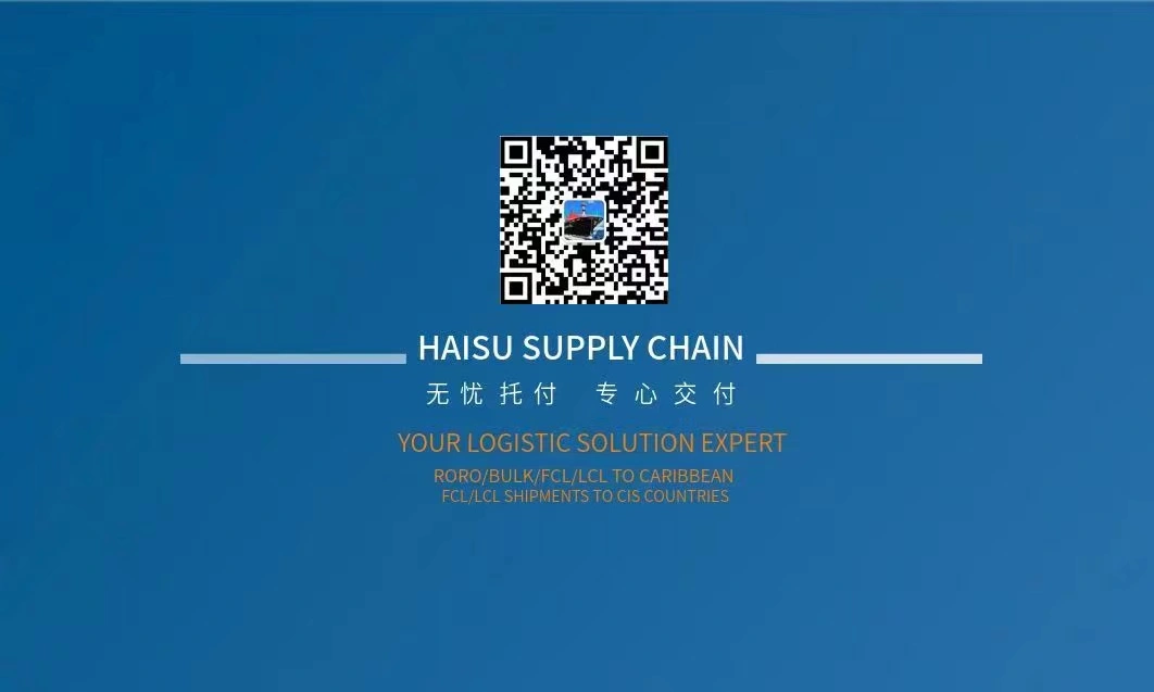 Shenzhen Haisu Supply Chain Co.,ltd company overview - view 1
