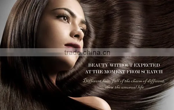 Top Quality Easy Clips Hair Extensions Human Hair Remy Clip In Hair Extensions