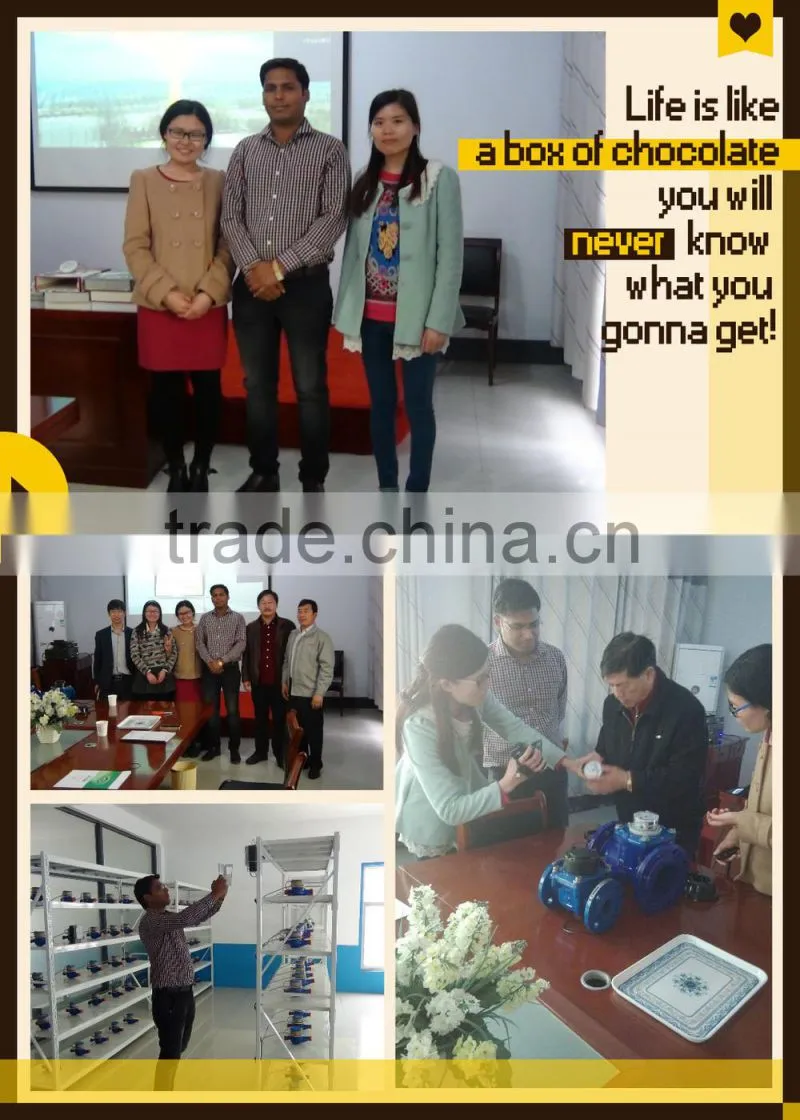 Anti-tampering Plastic Water Meter Seals In Gaoxiang Brand OEM Design