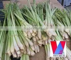 Fresh Lemongrass