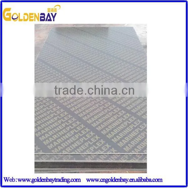 Gold plex film faced forming plywood