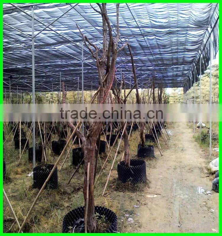 black greenhouse windsurfing flate wire shade net