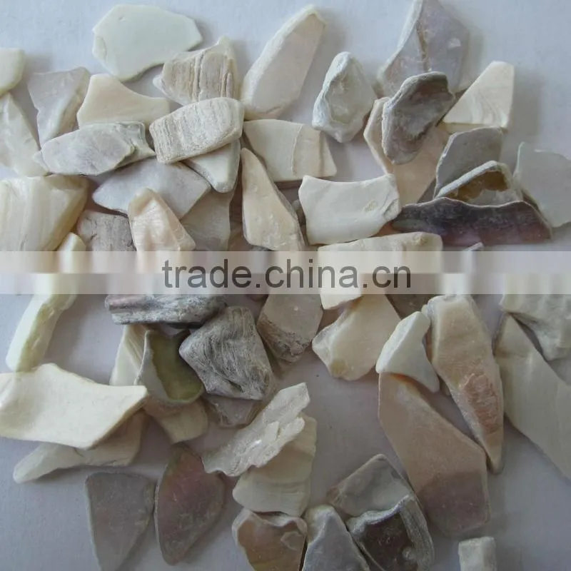 sea shell chips by polishing